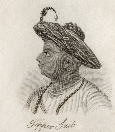 Tippoo-Saib by J.W. Cook